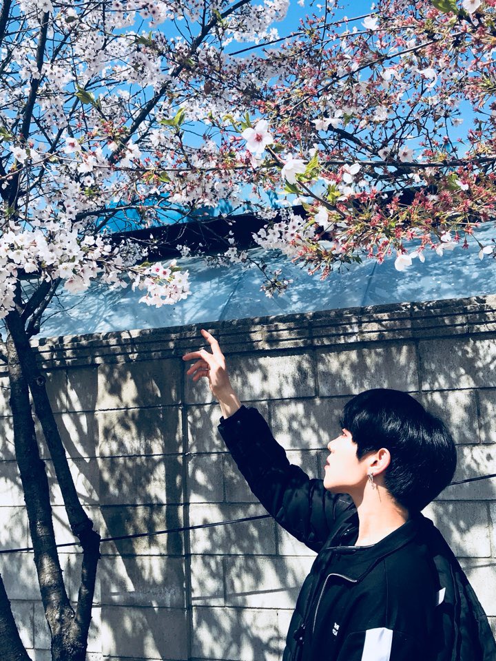 BAIKAL_official's tweet photo. 봄🌸봄🌼봄🌺 봄이 왔어요~ #스완 여러븐의 #바이칼 꽃도 피었습니다! ♪(๑ᴖ◡ᴖ๑)♪
#스완여러분의_배경화면을_책임집니다 
#누가_꽃이게? #호찬 https://t.co/Qg0w7dMBPW