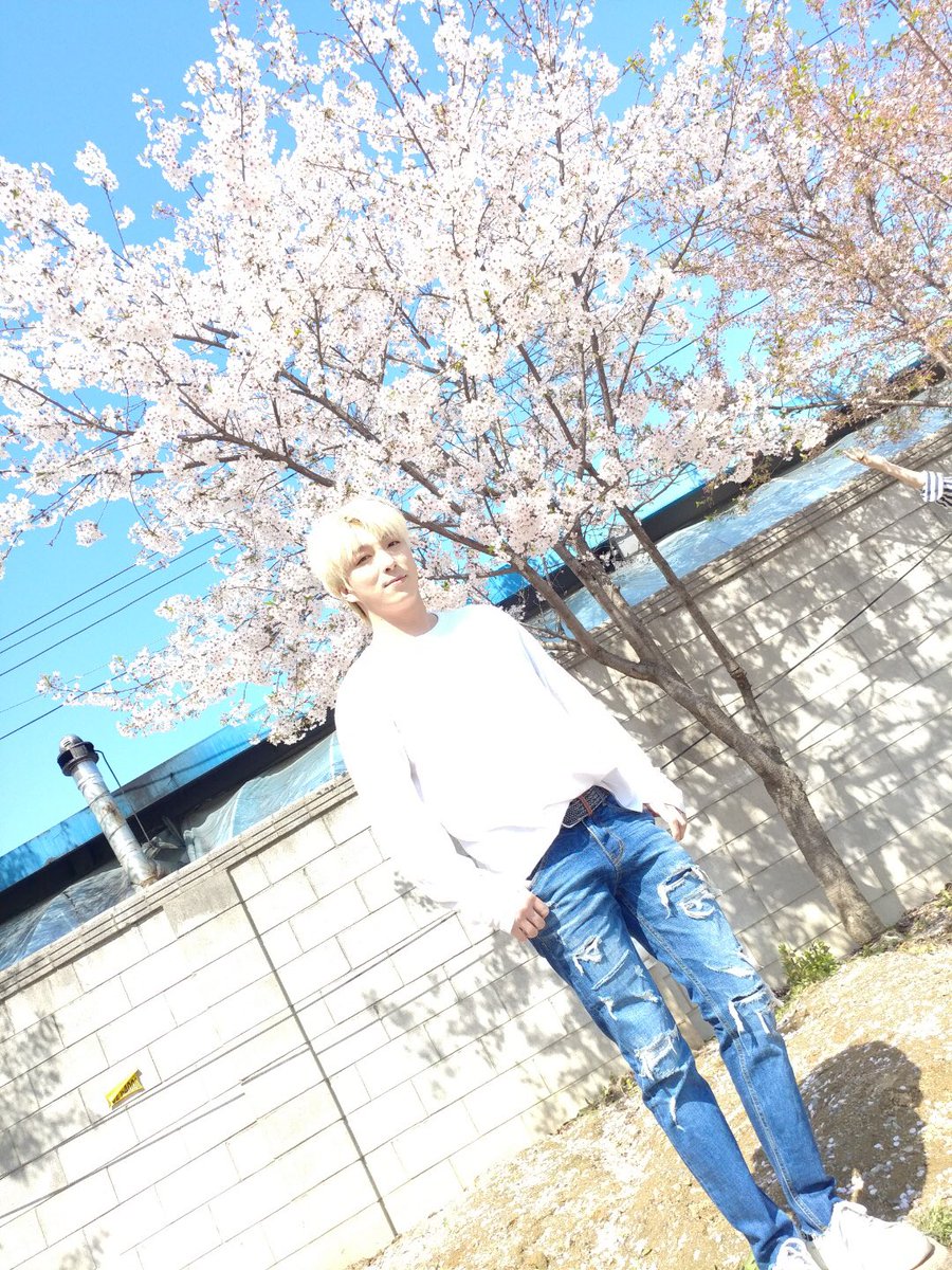 BAIKAL_official's tweet photo. 봄🌸봄🌼봄🌺 봄이 왔어요~ #스완 여러븐의 #바이칼 꽃도 피었습니다! ♪(๑ᴖ◡ᴖ๑)♪
#스완여러분의_배경화면을_책임집니다 
#누가_꽃이게? #도까 https://t.co/2DTuzXoQJK