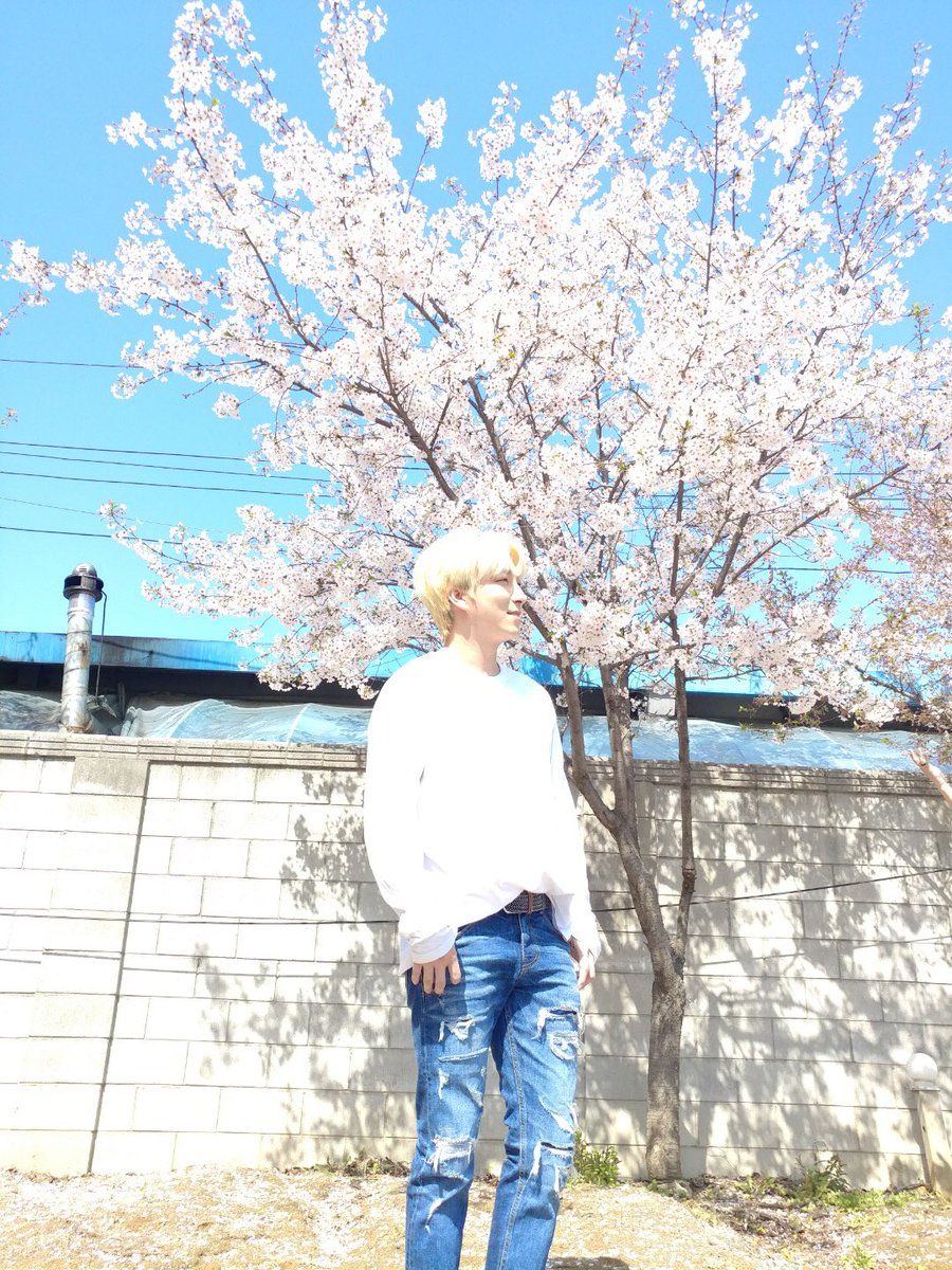 BAIKAL_official's tweet photo. 봄🌸봄🌼봄🌺 봄이 왔어요~ #스완 여러븐의 #바이칼 꽃도 피었습니다! ♪(๑ᴖ◡ᴖ๑)♪
#스완여러분의_배경화면을_책임집니다 
#누가_꽃이게? #도까 https://t.co/2DTuzXoQJK