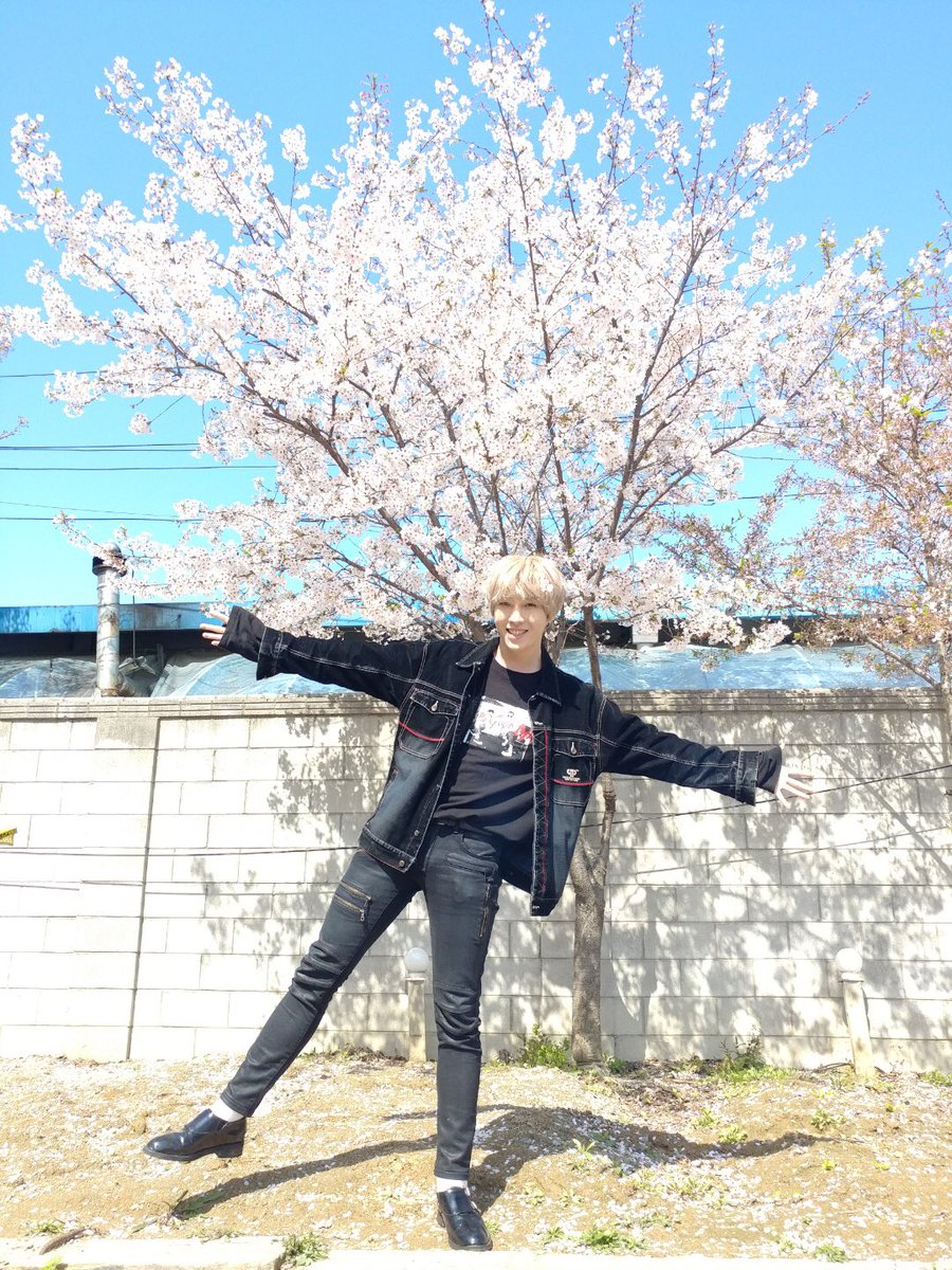 BAIKAL_official's tweet photo. 봄🌸봄🌼봄🌺 봄이 왔어요~ #스완 여러븐의 #바이칼 꽃도 피었습니다! ♪(๑ᴖ◡ᴖ๑)♪
#스완여러분의_배경화면을_책임집니다 
#누가_꽃이게? #대웅 https://t.co/JkVE4Le3w7