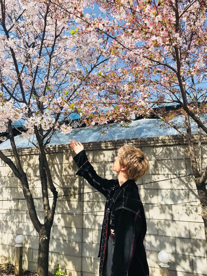 BAIKAL_official's tweet photo. 봄🌸봄🌼봄🌺 봄이 왔어요~ #스완 여러븐의 #바이칼 꽃도 피었습니다! ♪(๑ᴖ◡ᴖ๑)♪
#스완여러분의_배경화면을_책임집니다 
#누가_꽃이게? #대웅 https://t.co/JkVE4Le3w7