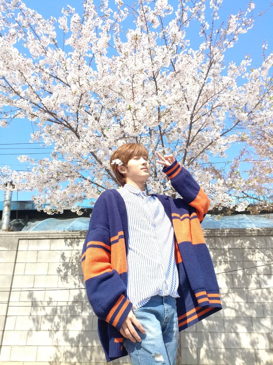 BAIKAL_official's tweet photo. 봄🌸봄🌼봄🌺 봄이 왔어요~ #스완 여러븐의 #바이칼 꽃도 피었습니다! ♪(๑ᴖ◡ᴖ๑)♪
#스완여러분의_배경화면을_책임집니다 
#누가_꽃이게? #데이 https://t.co/qmCcbI7BKK