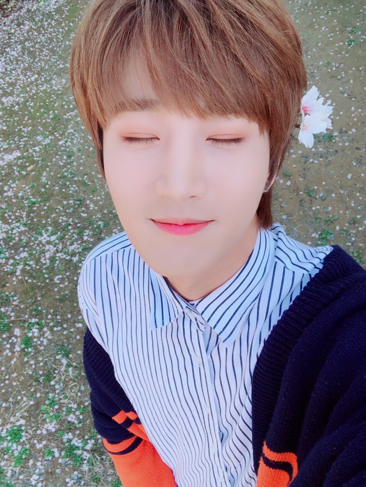 BAIKAL_official's tweet photo. 봄🌸봄🌼봄🌺 봄이 왔어요~ #스완 여러븐의 #바이칼 꽃도 피었습니다! ♪(๑ᴖ◡ᴖ๑)♪
#스완여러분의_배경화면을_책임집니다 
#누가_꽃이게? #데이 https://t.co/qmCcbI7BKK