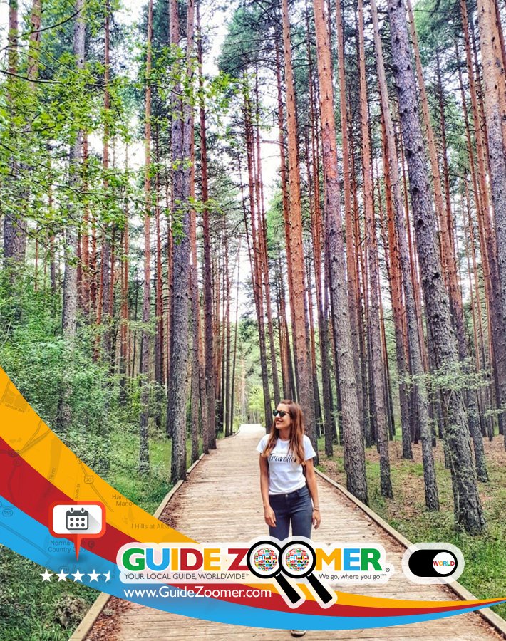 GuideZoomer's tweet photo. Globetrotter Sara gets blissfully lost in the tall trees of Cuenca, Spain. https://t.co/DlMi94F2VR We go, where you go! #spain #cuenca #outdoors #explore #forest #trees #nature #backpack #madrid #barcelona #toledo #tourist #globetrotter #planning #adventurer #travel #girl https://t.co/GZ3x2xm89B
