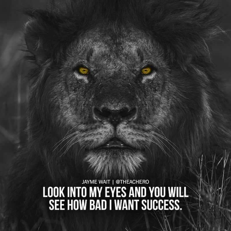 GeneralGrown's tweet photo. #peace ✌ #SALUTE FROM #GROWN DA #GENERAL! #GMT #general #lionheart #fearless #leo #nolimits https://t.co/fnrVEuXpHW