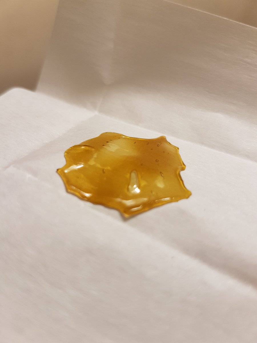 FameRetweets's tweet photo. #ScoutMaster shattter 💛🔥 

Follow @truechron &amp; @chronathon for more original content! 🎬

#TrueChron #Chronathon #Medical #TopShelf #highsociety #710society #DabSociety #DailyDabbers #Dabstagram #Dab #Dabs #Dabbing #MedicalMarijuana #CanadianChron #Chron #Chronic #Shatter https://t.co/XgqfJWcUXp