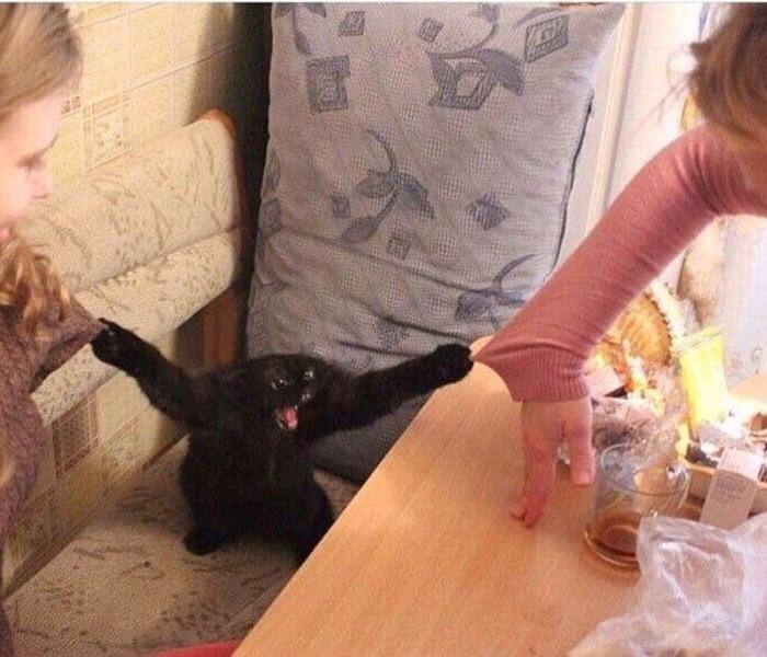 ShakeableGiraffe tweet media