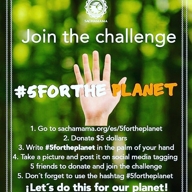 candelaferro's tweet photo. Let’s Do This For Our PLANET 💚 🌎@sachamamaorg 

Join The Challenge ! Únanse Al Desafio #5ForThePlanet https://t.co/CPIHUDDGdX https://t.co/rgKvajfSaX
