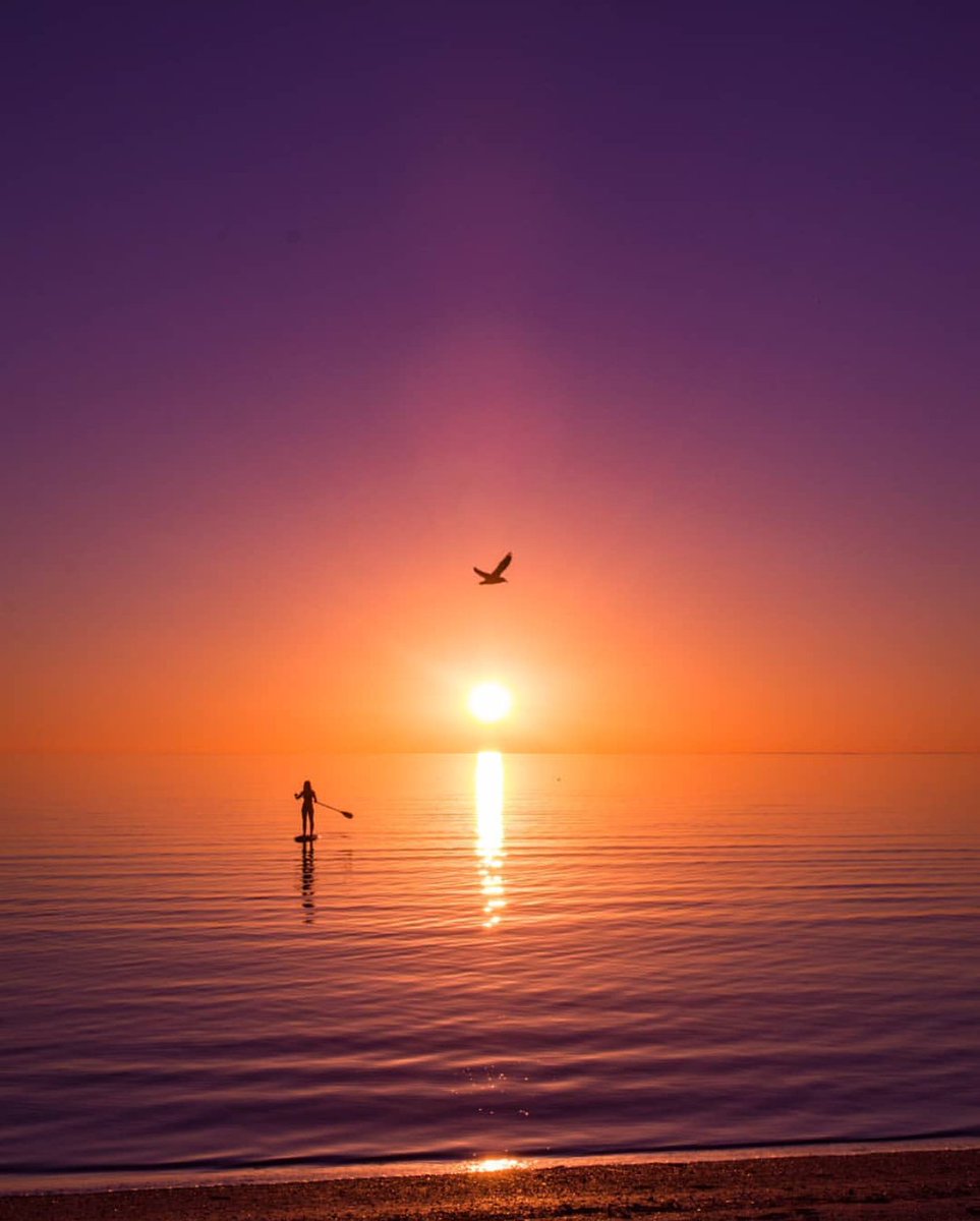 eyre_peninsula's tweet photo. Ah the serenity of sunset paddles in amazing locations! 🌅💫 Pic: outtaorbit_ (via IG) at Perlubie Beach #TTOT #LP#RTW #Travel #TravelMassive @southaustralia @Australia https://t.co/kiW6TEZu6n