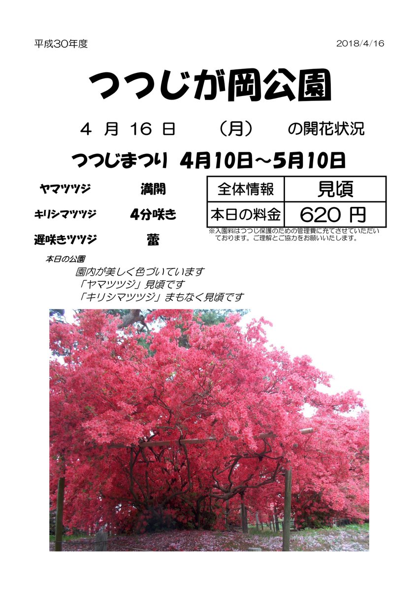 館林市ぽんちゃん 公式 本日のつつじが岡公園の開花情報だぽん ヤマツツジは満開を迎えているぽん 詳細はつつじが岡公園hpからチェックぽん T Co Qe9a2yotkc Tatebayashi Tsutsuji 館林 つつじまつり T Co Qb5fc70gxm