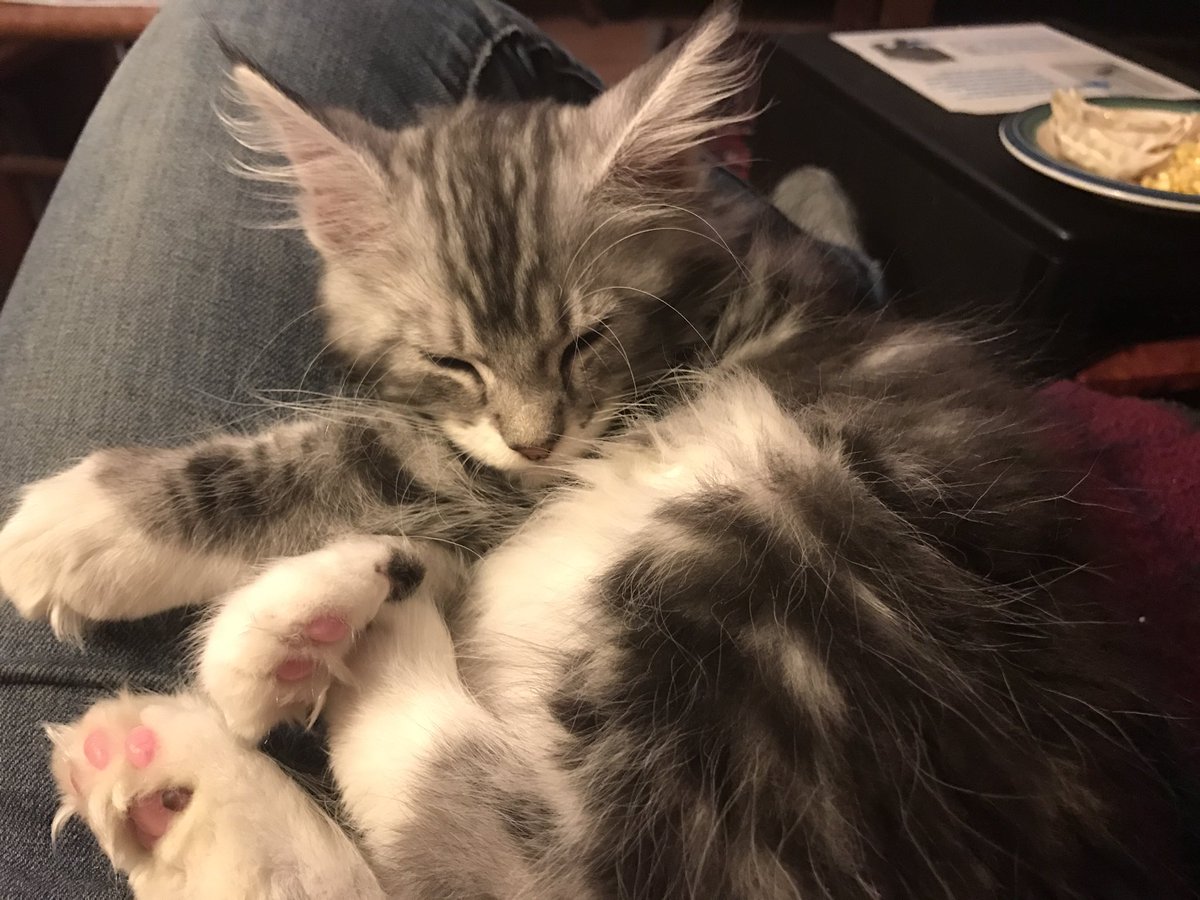 It's been a long day ...