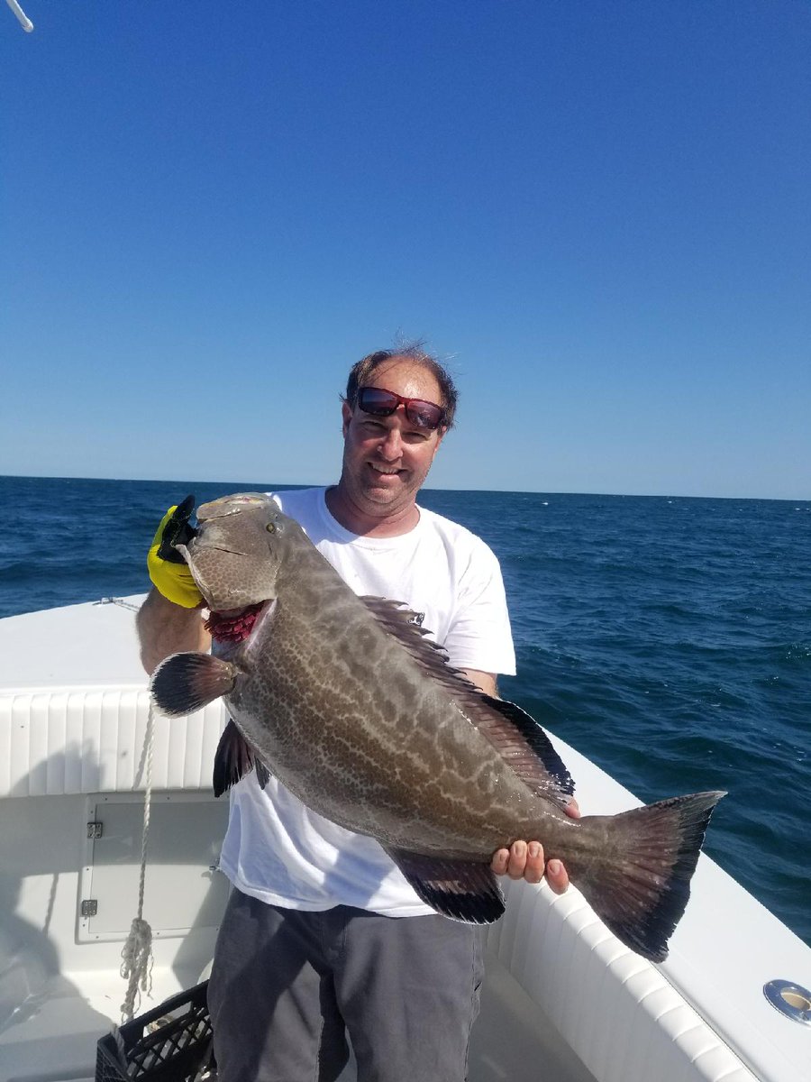 HookupLures's tweet photo. Big swimbaits, #BigJig - BIG RESULTS!
#Grouper #fishing #offshore #HookupLures https://t.co/7DhRcAWclx