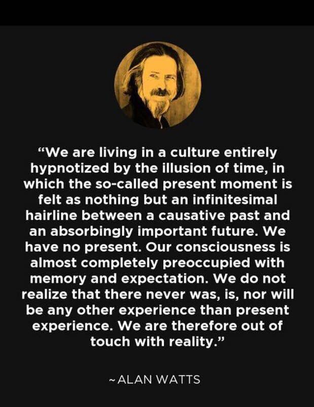 Na_TashaQuigley's tweet image. 