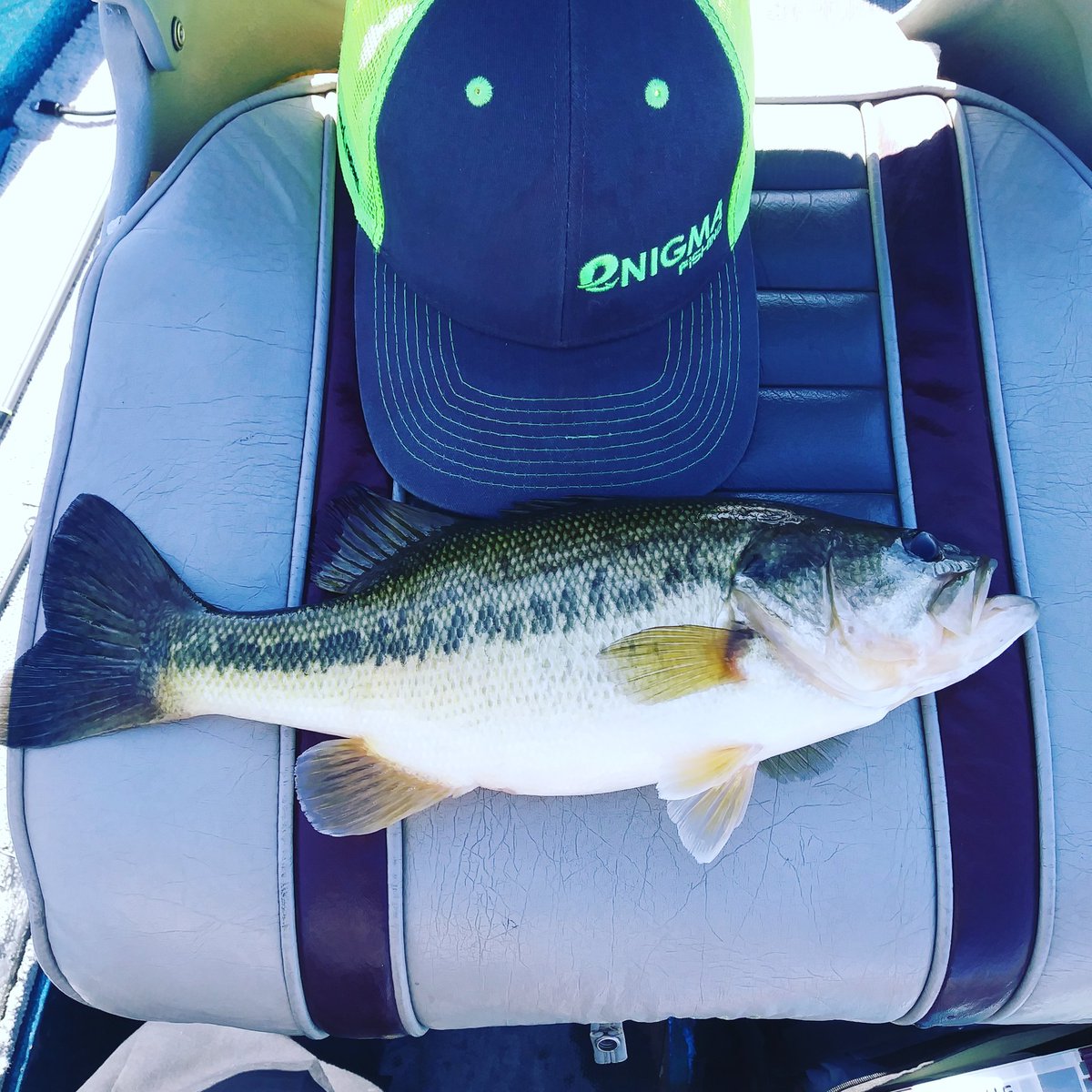 #dropshot #enigmafishing #area51fishing #bassfishingislife #prostaffpics #sunline #arizonacustombaits #dsg #dropshotgang