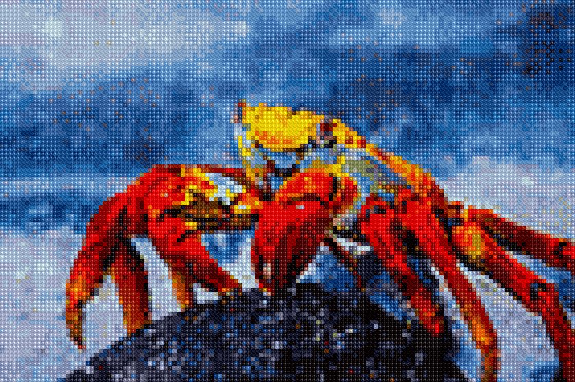 classycas514's tweet photo. #institch OMG! It's time to cross-stitching on your phone!
https://t.co/oyGc5EHrQz https://t.co/jB56aks2rE