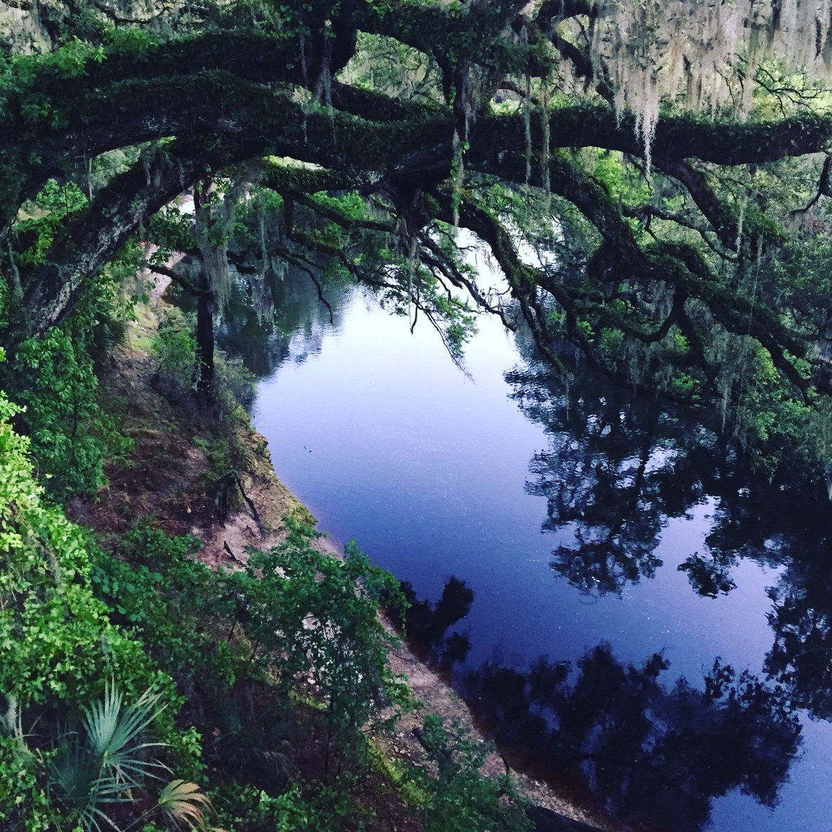 r_wilberg's tweet image. Let go of your greatest critic, yourself.  bit.ly/2iJ9231  #crowdbehavior #relationships #perception #groupdynamics #writing #amwriting #poetry #songwriting #songwriter #millennials #filmmaking #filmmaker #SupportIndieFilm #creativity #creative #inspiration