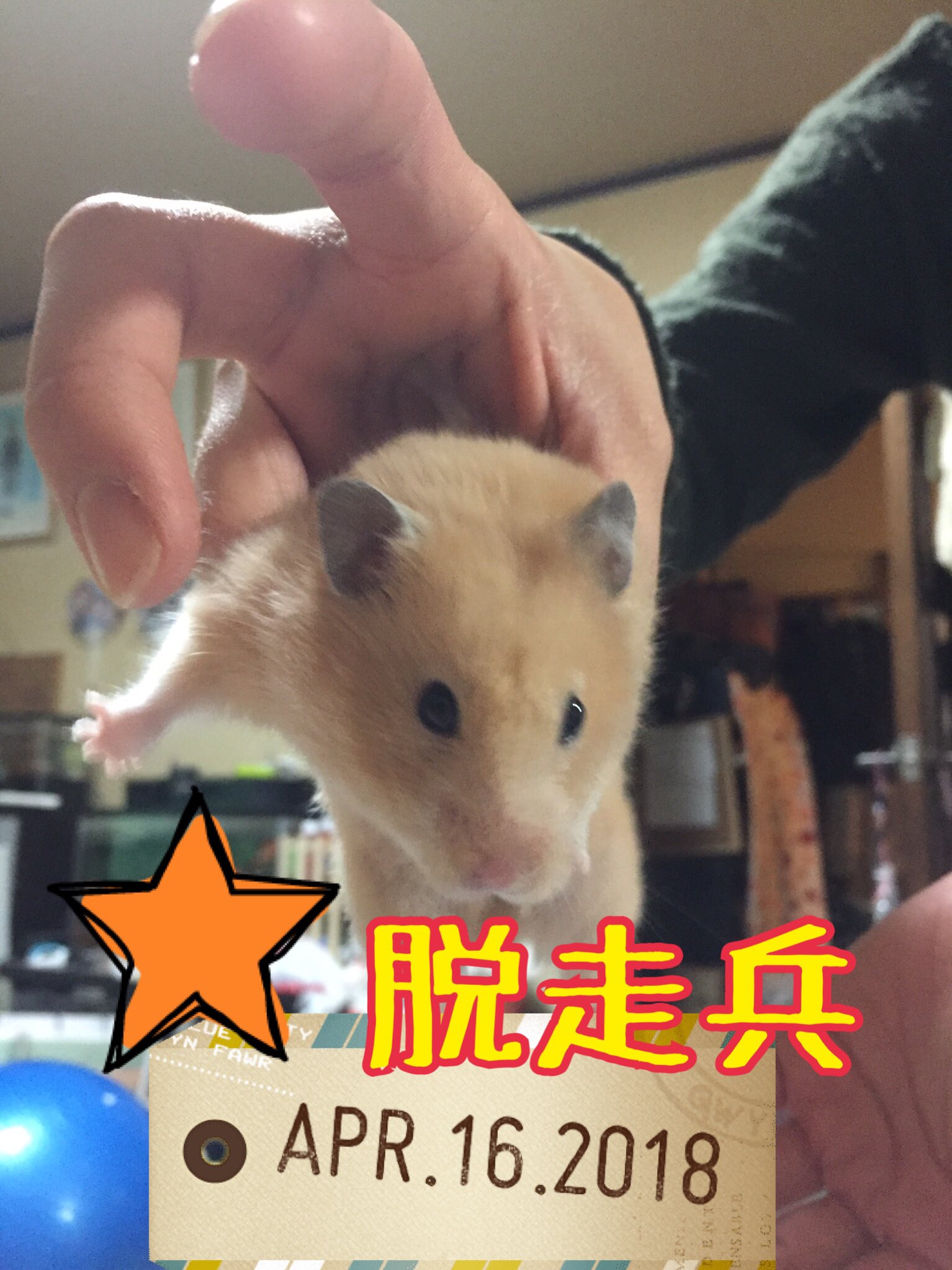 巧みに Twitter Search Twitter
