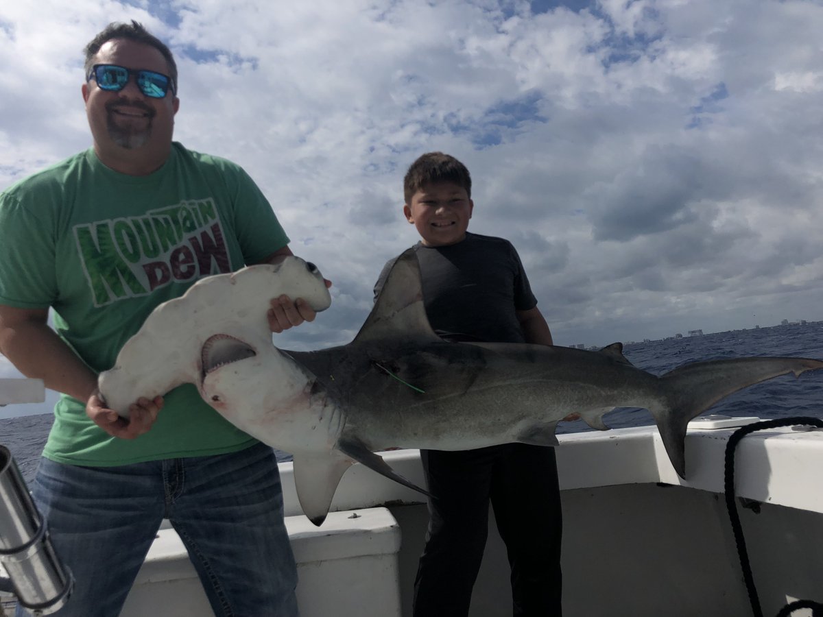 NewLatt Sportfishing tweet media