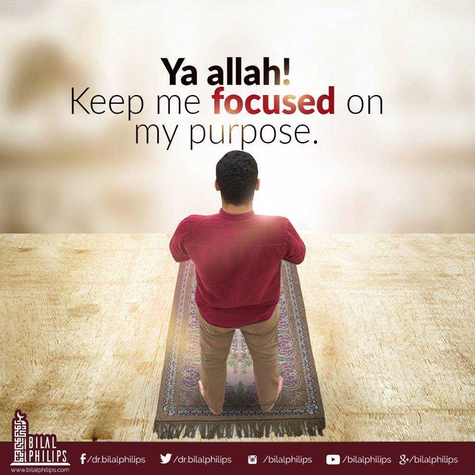 DrBilalPhilips's tweet photo. The purpose of life is to achieve real happiness by worshiping the One True God (Allah) in everything that we do. "And I did not create the jinn and mankind except to worship Me."[Qur'aan 51:56] #Allah #Quran #truth #prayer https://t.co/GRyrrOGSSg
