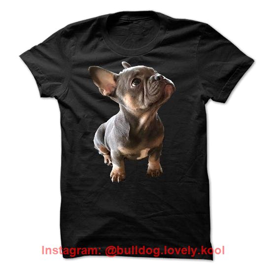 BulldogYen's tweet photo. If you wanna buy Click link.🛒 ➡️ https://t.co/9f4KMSbli1
❗ 💯Satisfaction Guranteed ! Worldwide shipping🌍📦
#FRENCHBULLDOG #BULLDOG #BULLDOGSOFINSTAGRAM #BULLDOGS #BULLDOGFRANCES #BULLDOGLOVE #BULLDOGLIFE #BULLDOGPUPPY #BULLDOGINGLES #BULLDOGRAM #BULLDOGLOVERS #BULLDOGSOF https://t.co/DMUnJ6AjM1