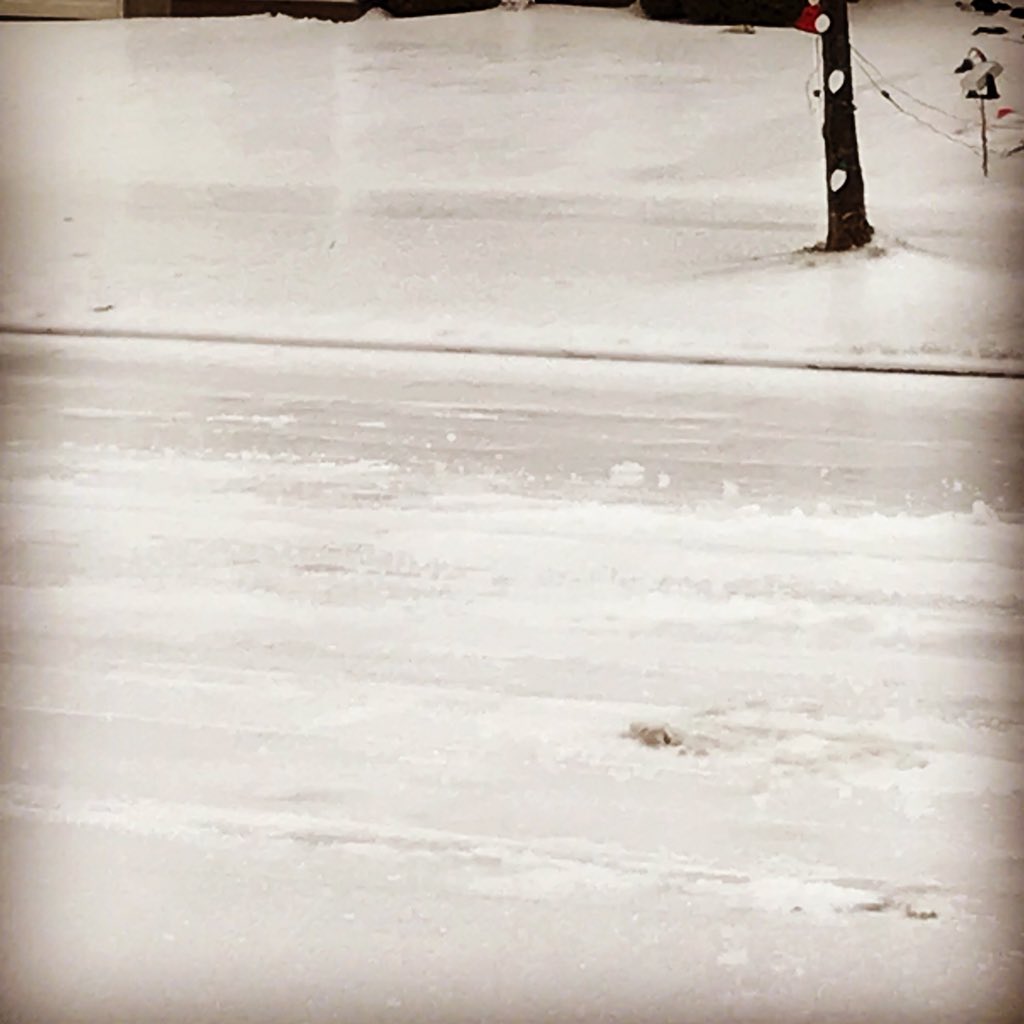 leysachowski's tweet photo. Getting slick out there #whitby #aprilicestorm2018 #theweathernetwork https://t.co/665b3bXtxs