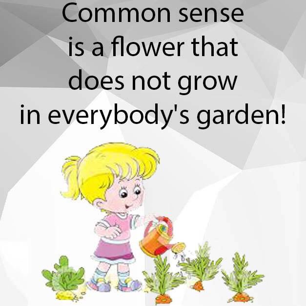 spendharkar's tweet photo. #CommonSenseIsRare @BabyGo2014 @loveGoldenHeart  @syremuri @pmartinauthor @smisdynamite @GabrielConstans @JRodneyPage @LoveVickyHolt @jrsweeney57 @Carolyn_Arnold @EichinChangLim @ClayfieldChris @CircleofBooks @Oldbrookender @KenFry10 @skfrazier333 @BruceVH @AaronGritsch @pkamla1 https://t.co/KCEGMy3WJa