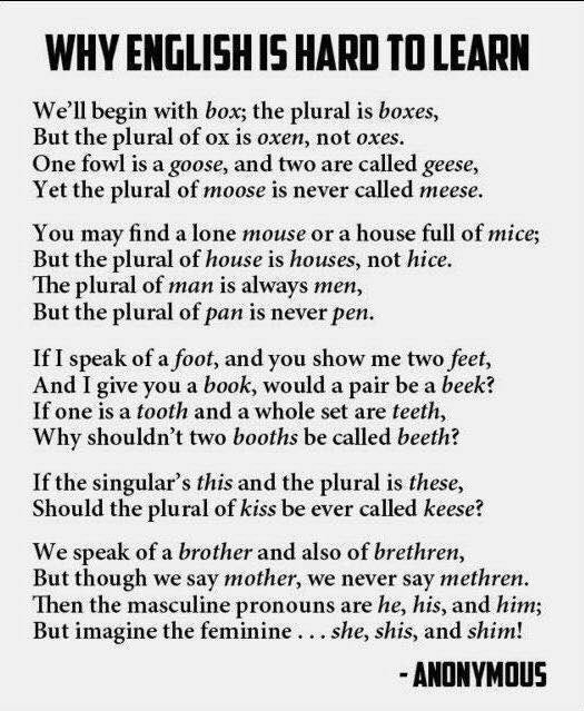 generskine12's tweet photo. the English language is ever so confusing #acuedu_p https://t.co/9xIzjabEMR