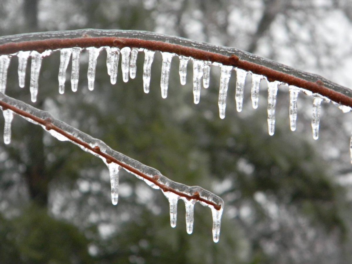 cityoftoronto's tweet photo. It's extremely icy out there! Plan ahead and leave yourself extra time in the morning. Please consider postponing non-essential travel until conditions improve and take public transit when possible. https://t.co/xhujTTYgTw