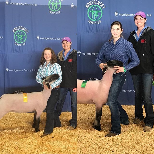 woodlands_ffa's tweet photo. Espi VanVleet got 6th place in her class and Erin Mack 5th place with their lamb projects this evening. #moco2018 Lots of work go into these animals! Great job! @cteconroe #ffa #ageducation #conroelearns https://t.co/Ul7Fb872iS