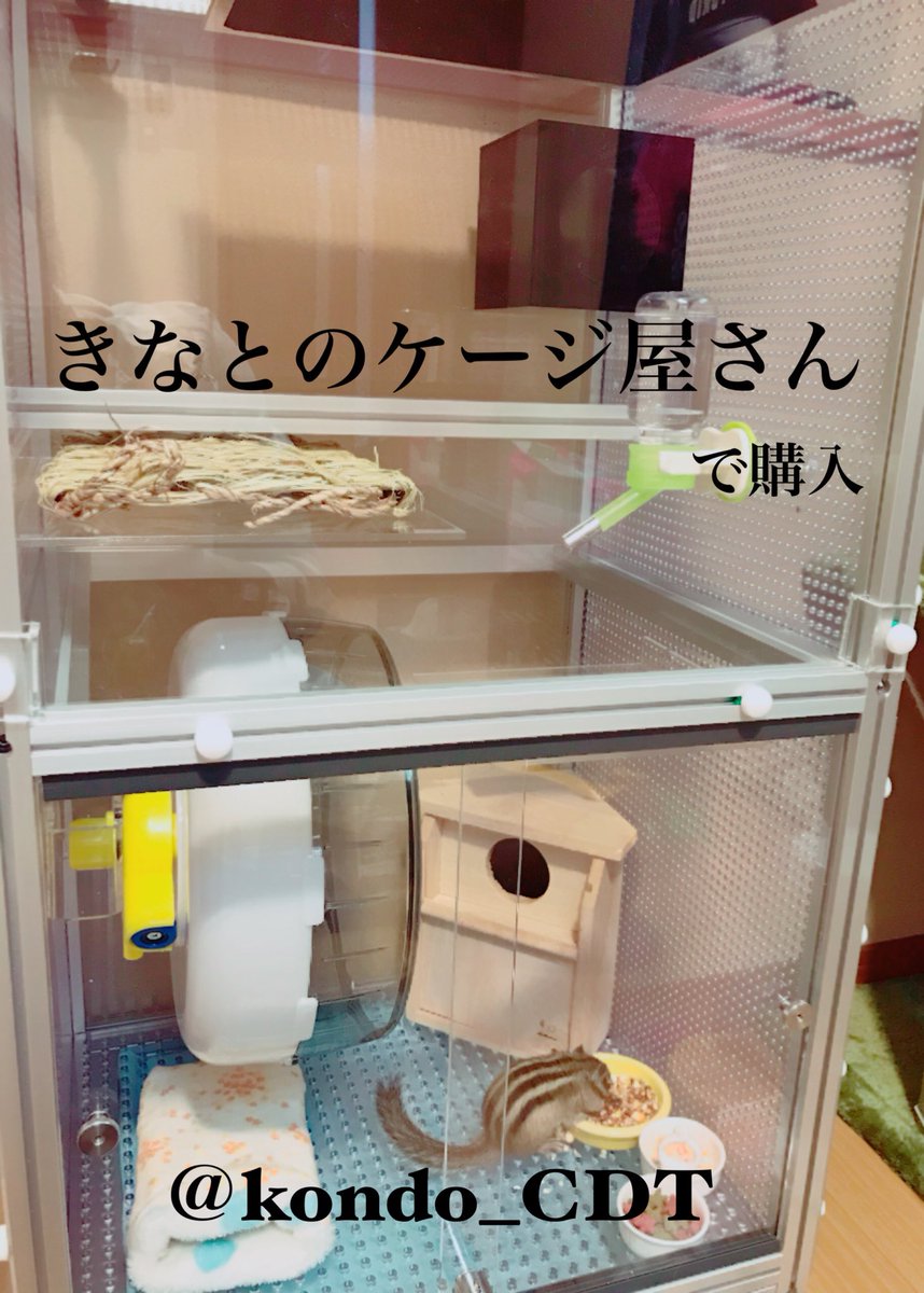 名作 鑑賞鳥かご きなとのアクリルケージ 鳥かご - htii.edu.kz