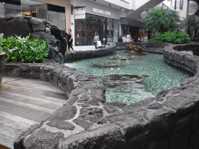 goldenagetravel's tweet photo. Had an amazing time checking out the @AlaMoanaCenter in #Waikiki. Largest #shoppingmall in #Hawaii. HUGE https://t.co/wPIJm0AVTC #blogboost #honolulu #sandals #shopping #alamoana #diy #HawaiiShopping #flipflopworkshop #AlaMoanaCenter #Oahu https://t.co/v9KcBEOTUy