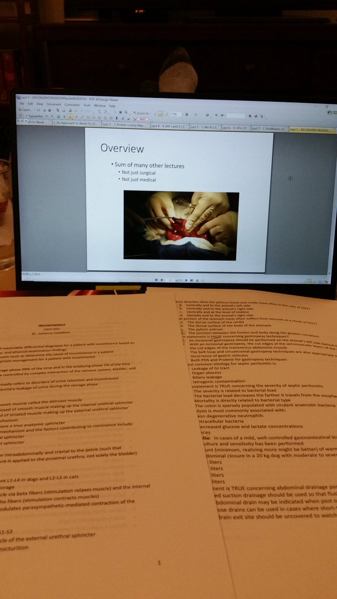 EliseBirkner's tweet photo. Small Animal Med exam tomorrow. As per usual, not even through all the material once. #3VM #Vetschoollife #whyisthekidneysocomplicated https://t.co/t3YBm06HZ4