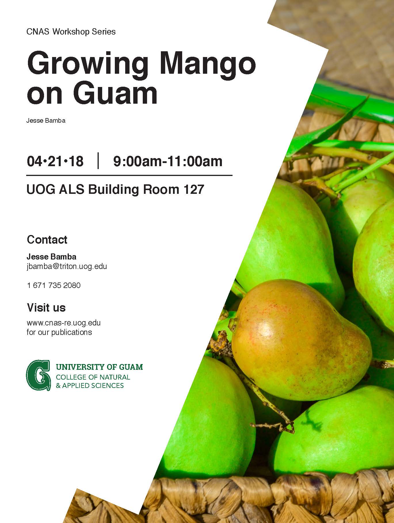 igualdad taquigrafía frágil تويتر \ University of Guam على تويتر: "Mango season is just around the  corner! Learn how to grow and care for your mango tree with CNAS extension  professional Jesse Bamba. For more