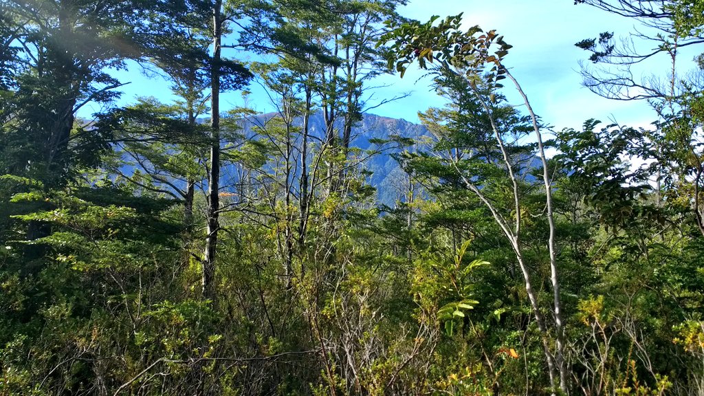 chilegeographic's tweet image. #Montañismo #Senderismo #Trekking #Caminatas en los faldeos del #Volcán Osorno! Aventúrate con nosotros en este recorrido por la #Naturaleza entre #Nieve #Lagos #Montañas y hermosos paisajes. Contáctanos Chilegeographic: Whatsapp +56933086264