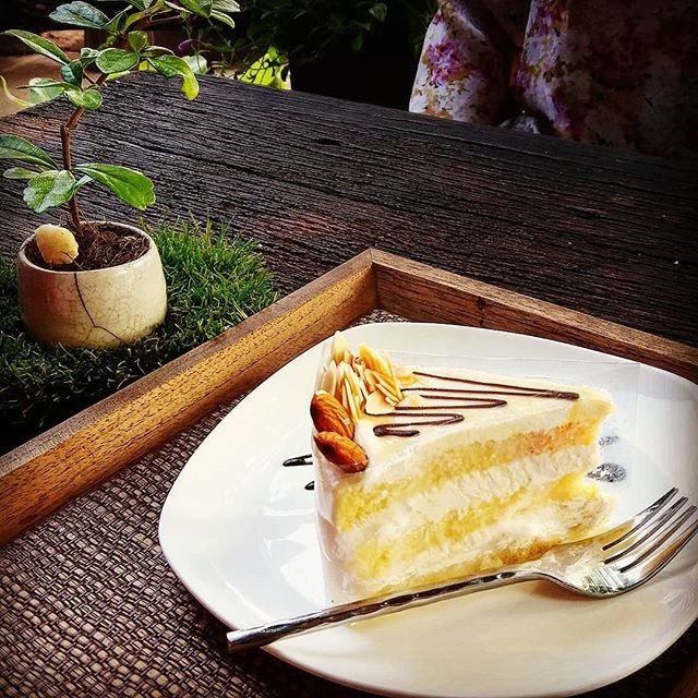 MikeThailandee's tweet photo. Life is not always a piece of cake but eating a piece of cake is always az good moment in life 🍰🎂🍰🙃
#cakee #pieceofcake #almondcake #coffeshop #foody #foodys #eatingplace #aroy #instafood #instacake #instacoffee #thailand https://t.co/UdZLXcNsw3 https://t.co/bKVSmB4FFz