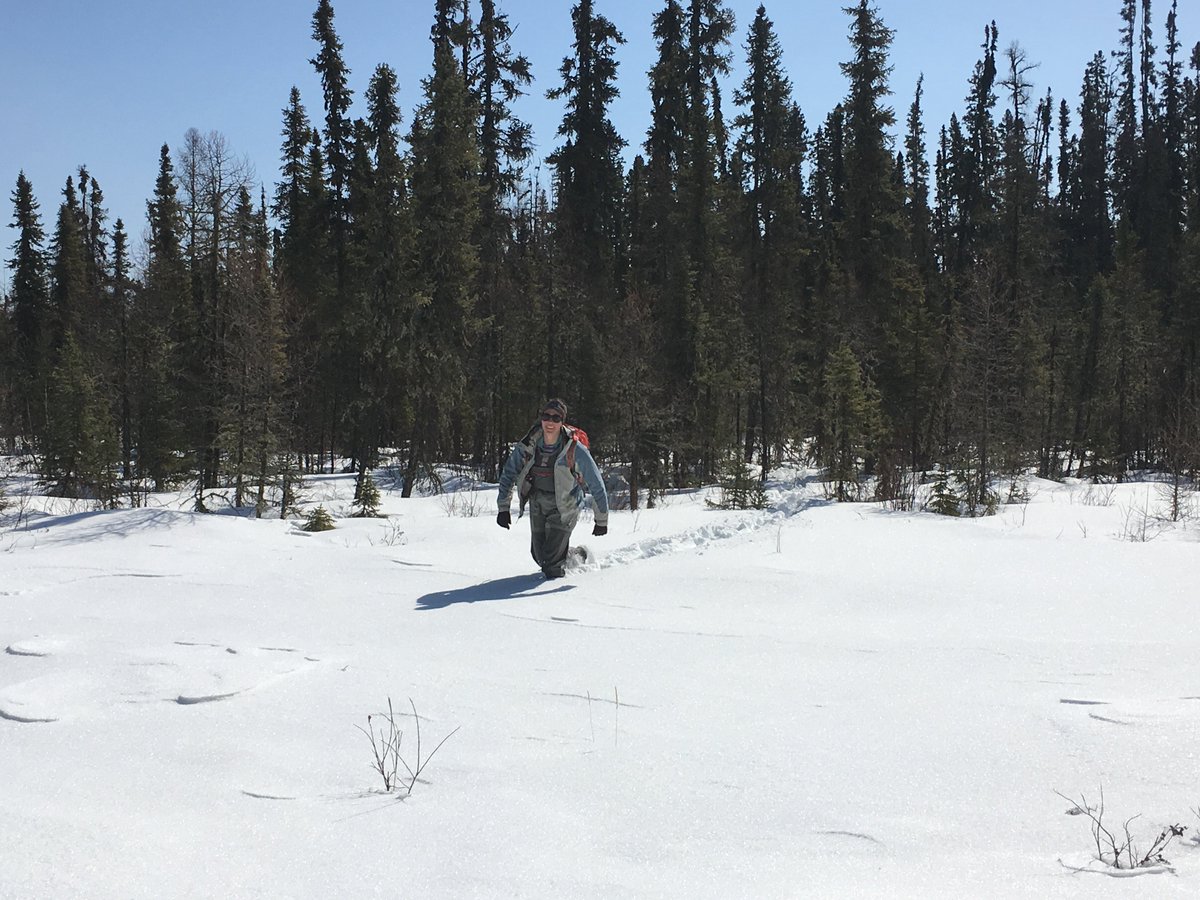 cole_burton's tweet photo. It's not an easy landscape to access, and the elusive #wildlife and harsh conditions keep us on our toes, but #WildCoLab rockstars @erin_tatt and @joburgar are leading the charge and collecting some exciting data 3/3 https://t.co/uUx1zkMJ59