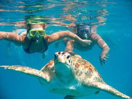 TravelOptionsuk tweet picture