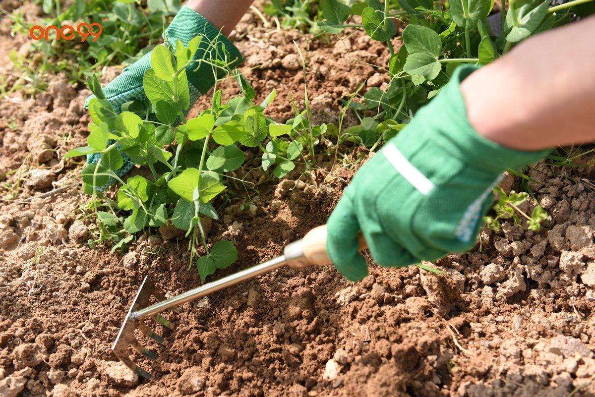 One99_Brand's tweet photo. Happy Monday! Work day is coming ,NOW, put your heart and soul into your work !For the dream! ✊🏿✊🏿✊🏿 #MondayMotivation #workday #OKC #gardening #monday #Farmers #TOOLS #one99 https://t.co/v0llVAngGQ