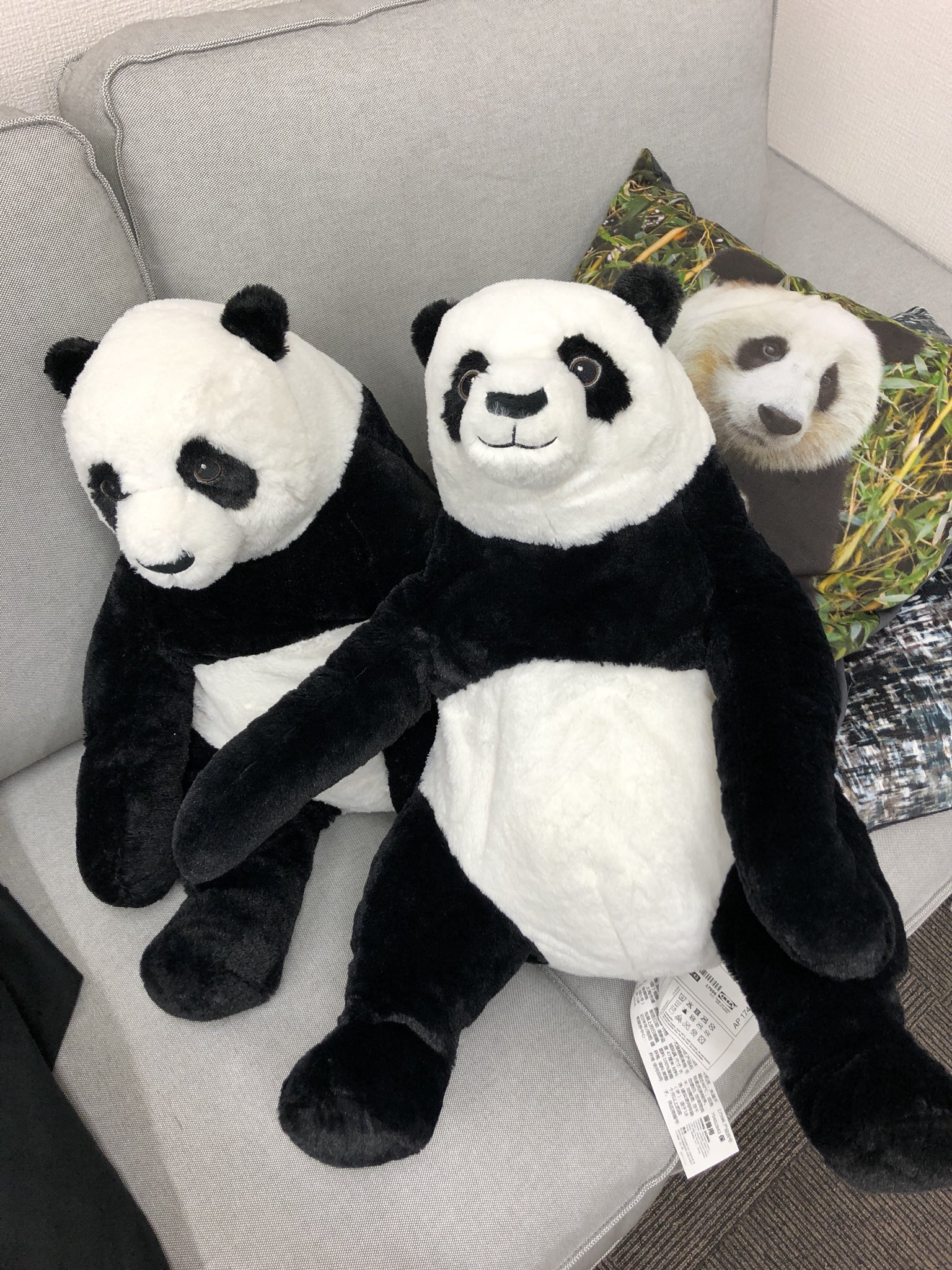 内木場隼 على X: 