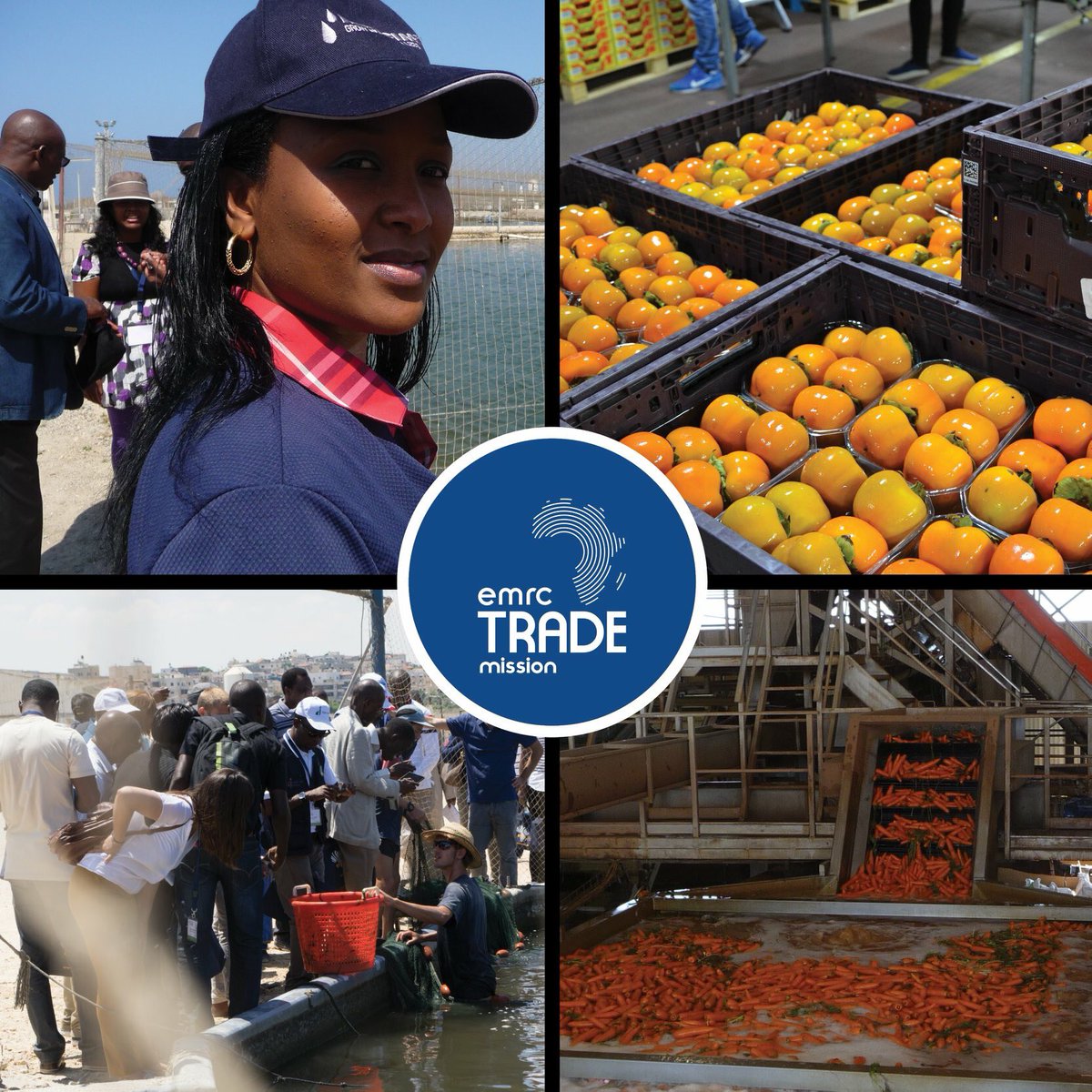 _EMRC_'s tweet photo. Join our unique #agribusiness hands-on programme in #Israel from 27 to 30 May.

Sign up today ➡️ https://t.co/tRXjg0D8CR https://t.co/FknNvGHiio