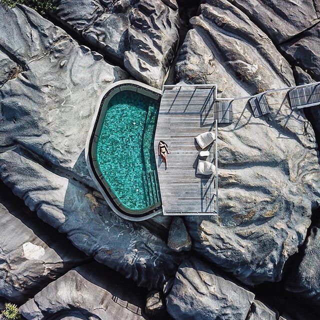 The Indulgence tweet media