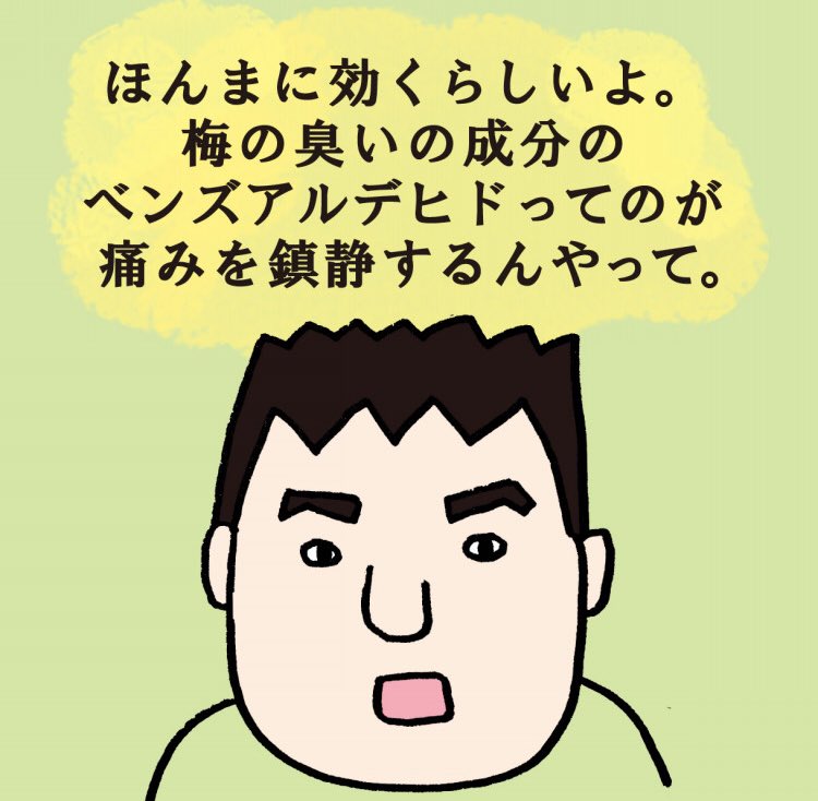 原田いくみ ぐうたらこ 市政に挑戦 Ayaya3776 こめかみ湿布もなかなかのババア感ですな Twitter