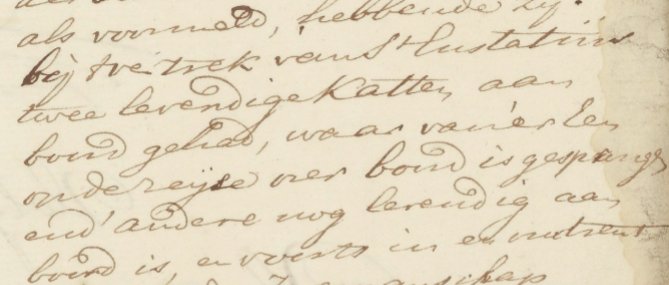 voetnoot's tweet image. Op 18 juli 1760 verklaren bemanningsleden van het schip de Kalkoen dat de koffie uit St Eustatius is aangevreten door muizen. Eén van de twee 'levendige katten' die aan boord waren om dit te voorkomen, is tijdens de reis van boord gesprongen. #dieren #alleakten #statia