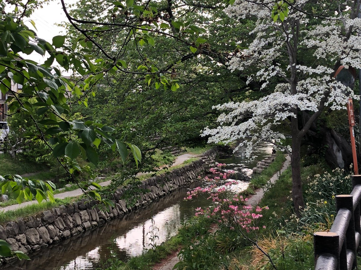 BobiBoPeep's tweet photo. More photos from my #naturewalk ☺️ lol Btw the camera on my phone is awesome 😳 #shook #beautiful #scenery 😊 #Saitama #Konosu #spring #firstdayofwork  #Japan #peace #nature #iphone8 #iphone8camera #beauty #埼玉 #さいたま市 #鴻巣 #日本 #春 #平和 https://t.co/VecfzjAdzG