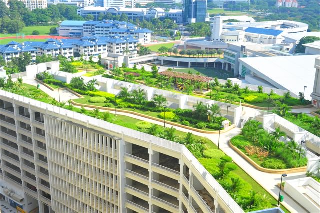 alwitra's tweet photo. You ask for #sustainablebuilding and #construction? The answer is Evalon &amp; Evalastic #roof membranes for #greenroofs. Learn more here: https://t.co/zbqopwvn6P    #green #roof #architecture #ecological #sustainable #alwitra https://t.co/Z0Aec5Kkf3