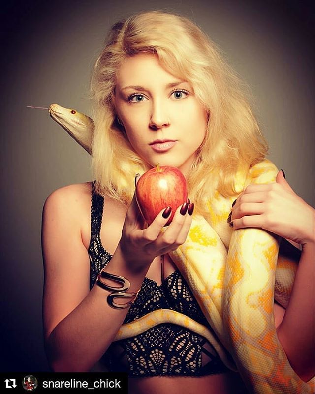 modelmaniamag's tweet photo. #Repost @snareline_chick ・・・
We crave what we can't have. 📷: @belladonnaphoto #coldbloodedcuddlebuddy #photography #photoshoot #justataste #apple #blonde #snake #bold #boudoir #implied #studio #nude #impliednude #figurework #reptile #reptilesrepresen… https://t.co/IKv3WgcAXu https://t.co/KU9SStFgGV