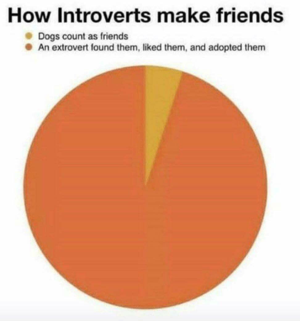 kclemson's tweet photo. Thank you extroverts https://t.co/HD8hPSFAz6