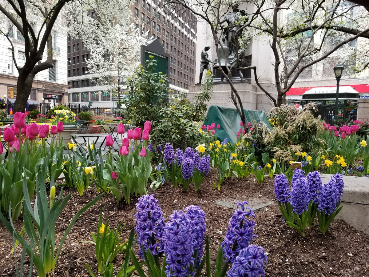 leestaton32's tweet photo. #SRHSdoesNYC #srhsny18 #srhs1718 https://t.co/7COt2uiUuC