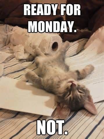 KFHNetwork's tweet photo. How are you feeling this morning? #MondayMotivation #OfficeSpace #sleepy https://t.co/ELeg0qx26p