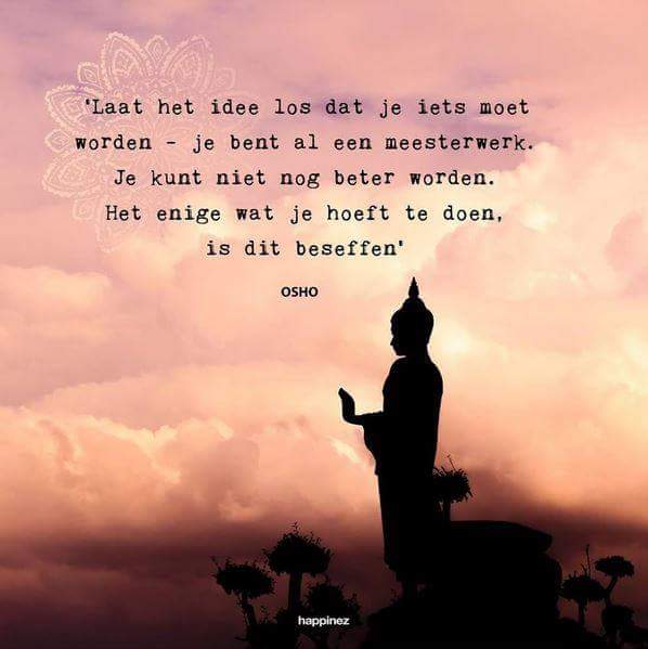 Andrea Hodzelmans tweet media